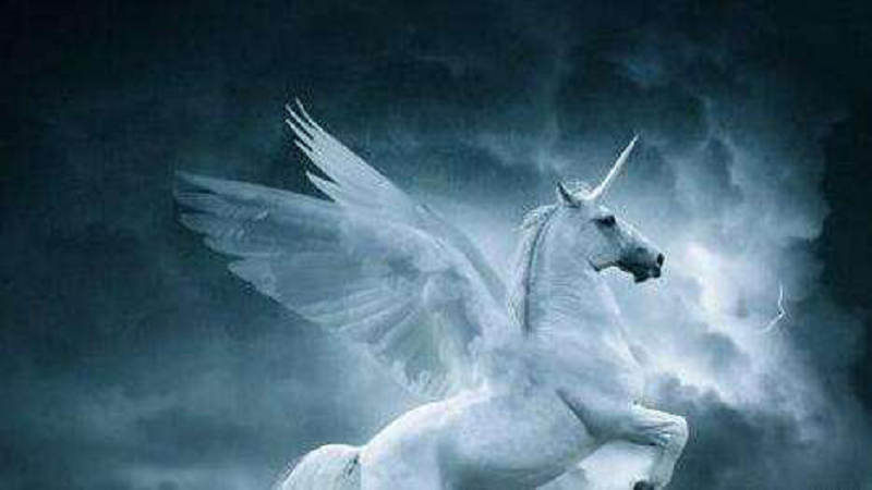 1526952953047057812.png 图片1.png