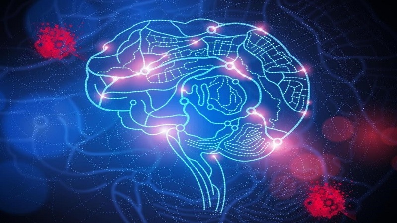 1527737191789001743.jpg 1.jpg