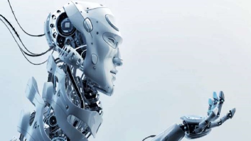 1529981529700003069.jpg 1.jpg