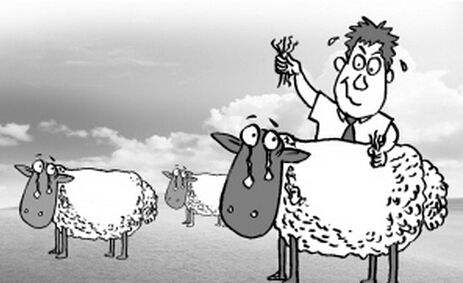 1533797136894010675.jpg 9763567-6d891b2cdcea1316.jpg