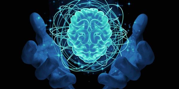 1542681150914002407.jpg 5105834-a5a400edc0bc1923.jpg