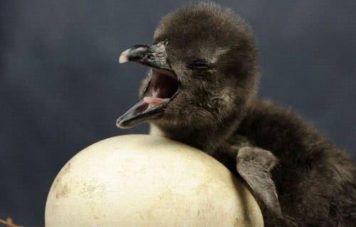 1548815264761072850.jpg 微信图片_20190130102456.jpg